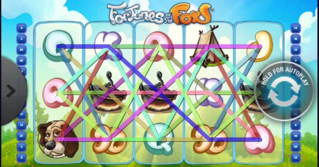 fortunes of the foxs pay line